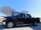 Thumbnail Photo 7 for 2013 Ford F150